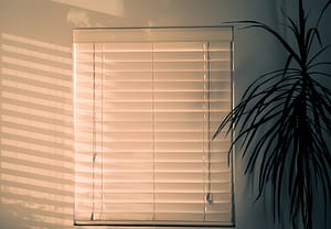 blinds